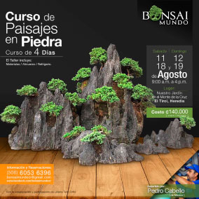 curso de paisaje en bonsai